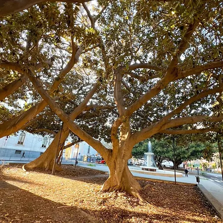 Toctoc - Boho Style *