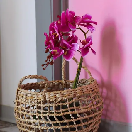 Toctoc - Boho Style